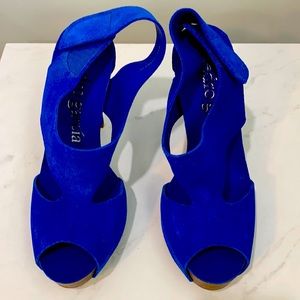 Pedro Garcia Royal Blue Pumps Never Worn
